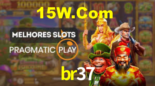 Premium Interface br37